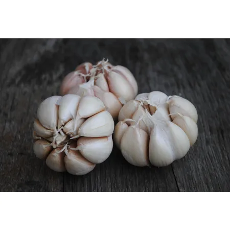 Przecier czosnkowy 210g